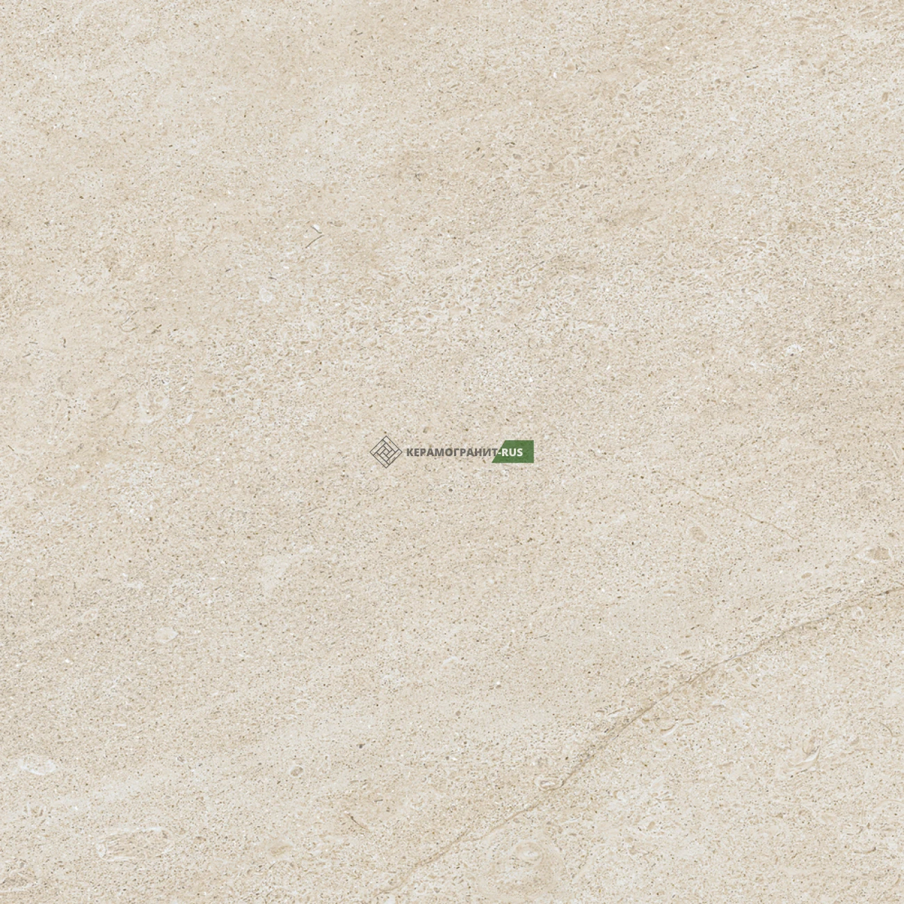 Керамогранит Forte Dei Marmi Rock SIBER IVORY 60x60 Lastra 20 mm антискользящий